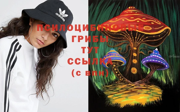 MESCALINE Бородино